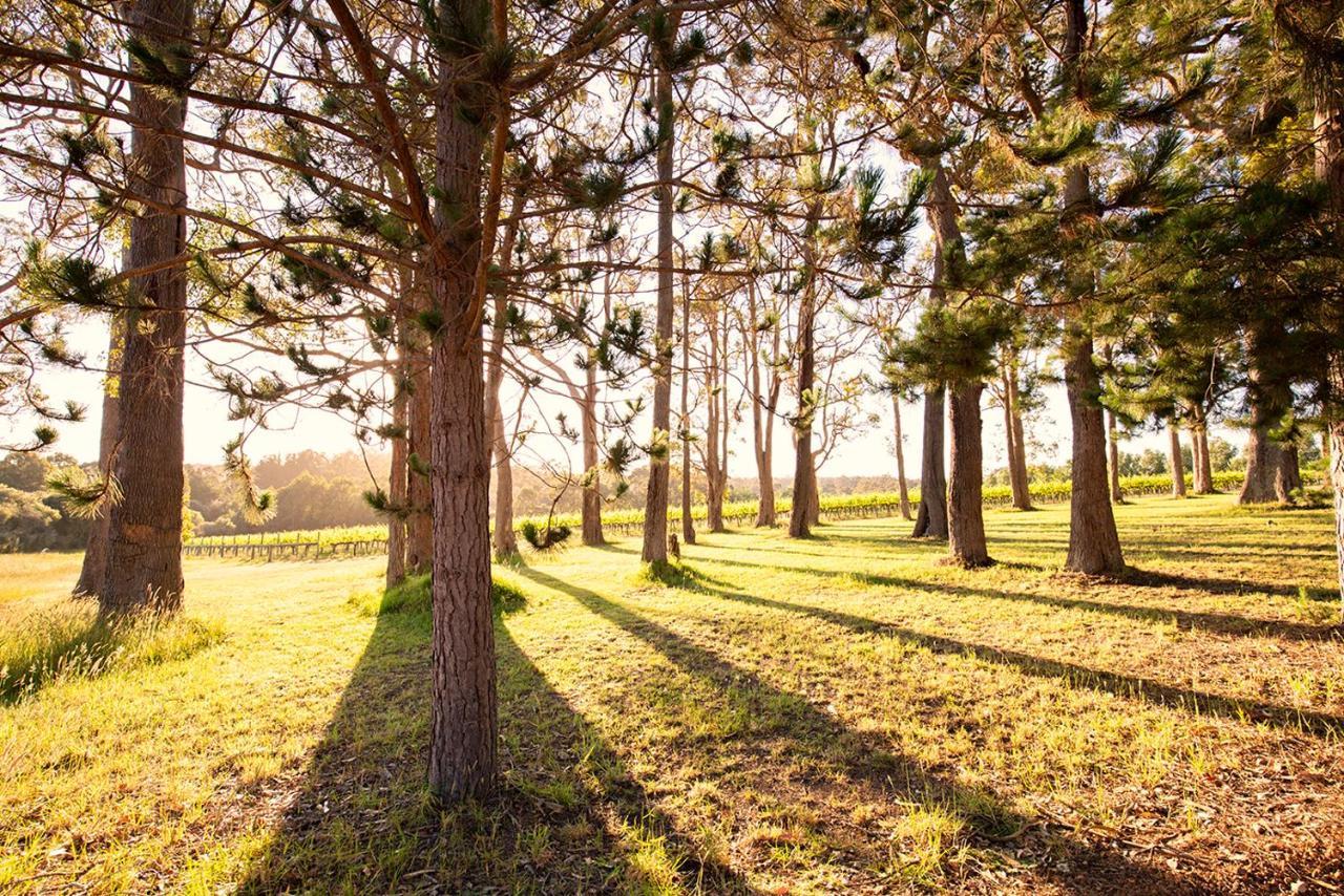 Ruse Estate Retreat Margaret River Rosa Glen Dış mekan fotoğraf