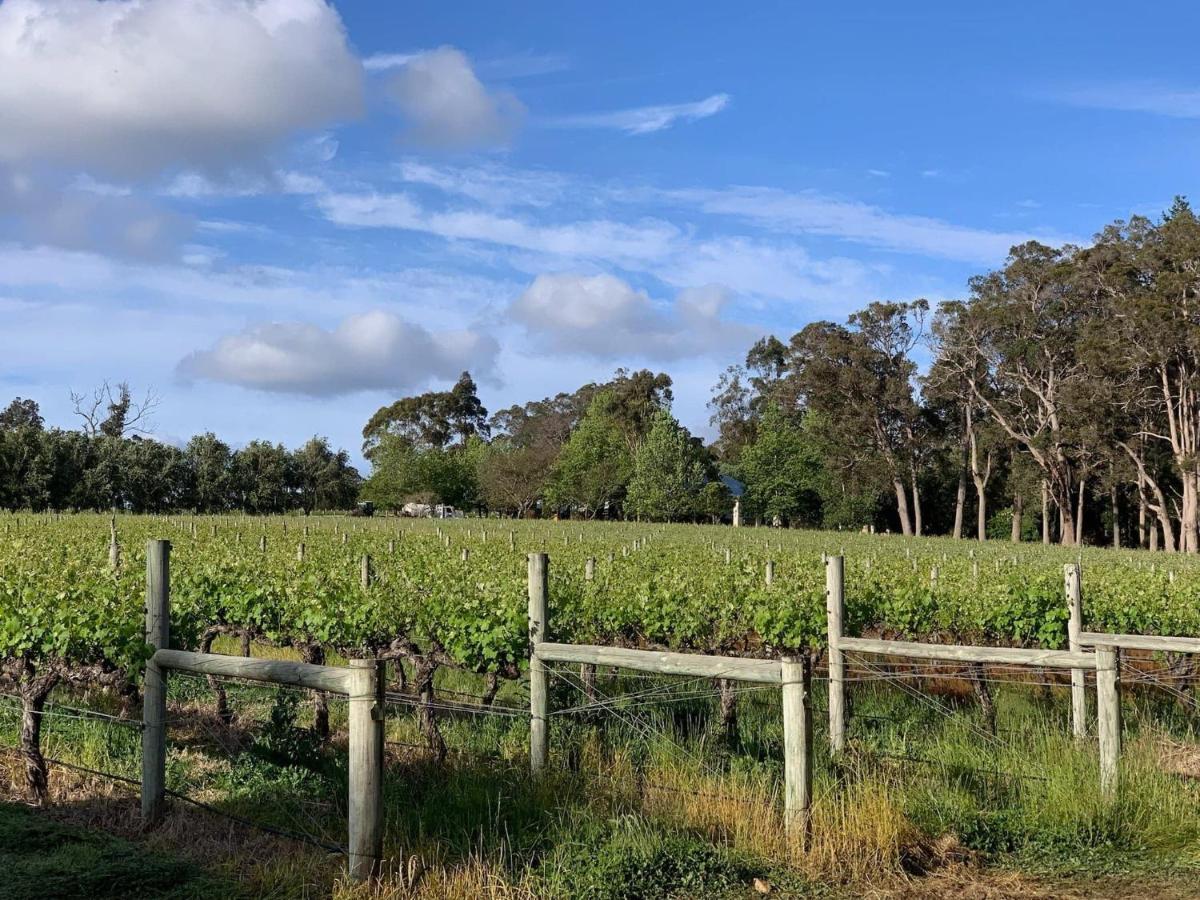 Ruse Estate Retreat Margaret River Rosa Glen Dış mekan fotoğraf